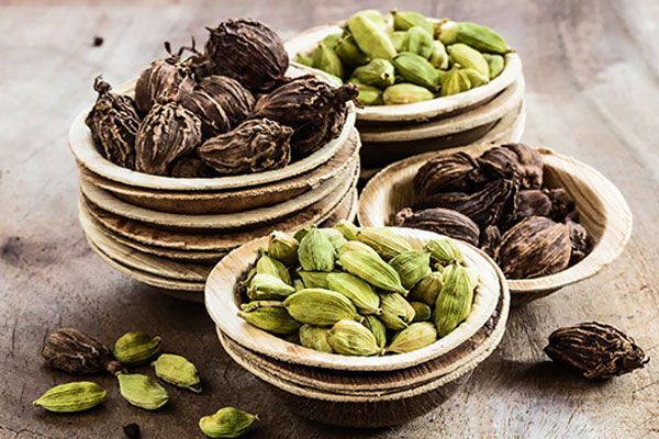 Jaya Spices